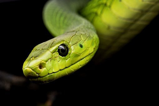 2021_Python_zdi